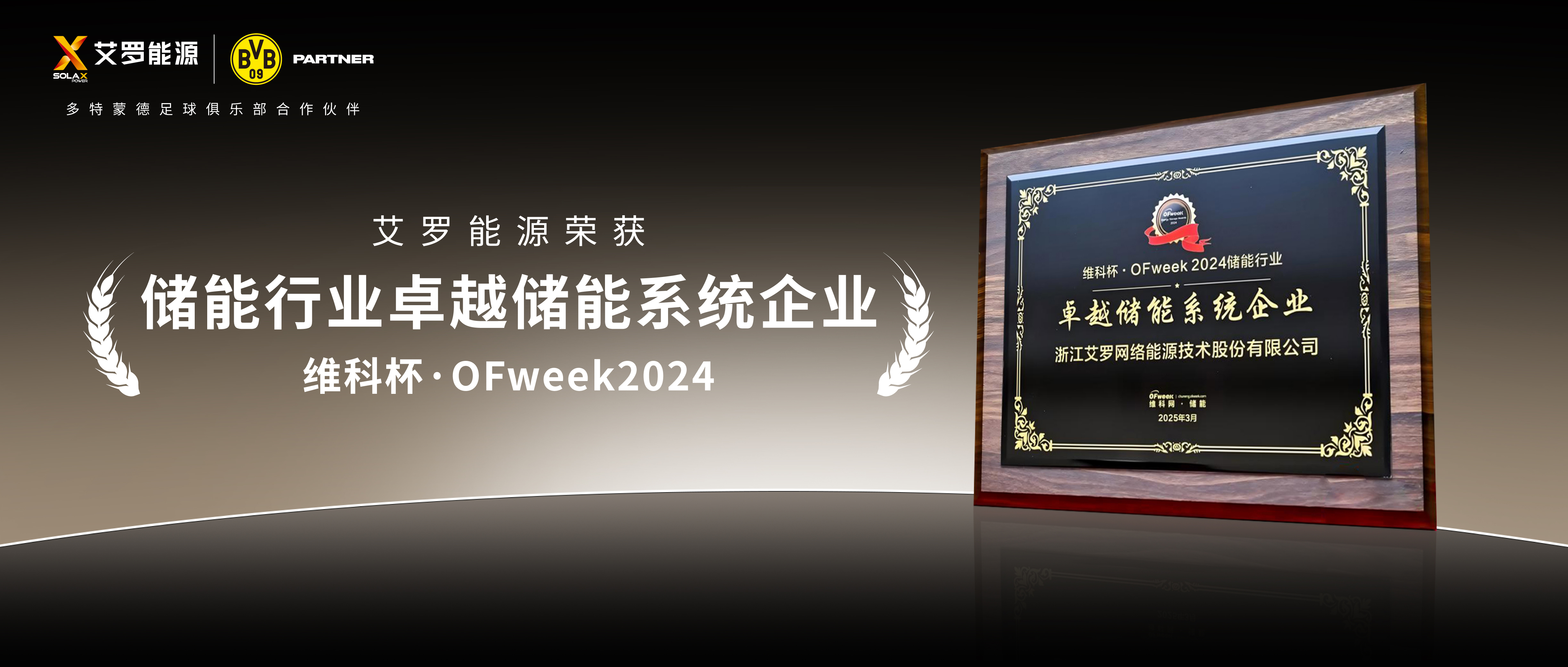 实力见证！星耀娱乐能源荣膺“2024维科杯·卓越储能系统企业”殊荣！